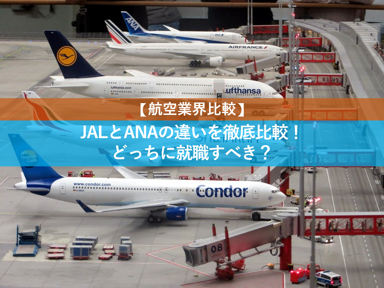 【航空業界比較】JALとANAの違いを徹底比較！どっちに就職すべき？